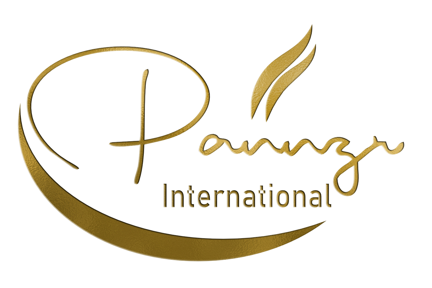 Pannzr International